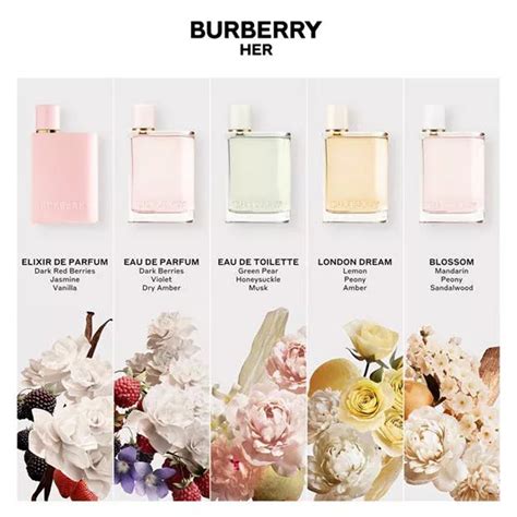 duft burberry london|Burberry fragrance.